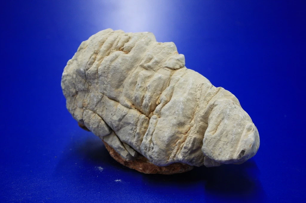 Colorado Stein Unterschiedliche Farb- Und Form-Spektren Per 1kg 1 Colorado Stein Unterschiedliche Farb- Und Form-Spektren Per 1kg