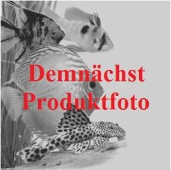 UVC Lampe PL 55 Watt UV-C Wasser-Klärer Ersatzröhre Teichfilter