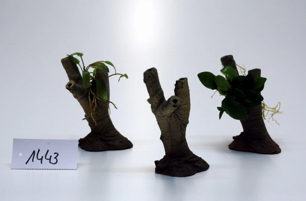 Baum3 - Höhe 10 Cm, Aquarium-Dekoration Aus Mineralguss 1 Baum3 - Höhe 10 Cm, Aquarium-Dekoration Aus Mineralguss