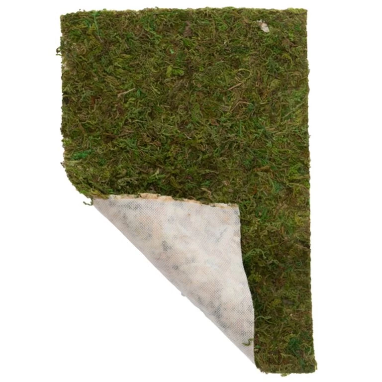 Hobby 100g Terrano Moos 1 Hobby 100g Terrano Moos