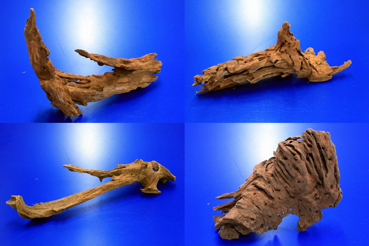 Mangroven-Wurzel Gr. S / 15 - 20 Cm Nano-Mangrovenholz 1 Mangroven-Wurzel Gr. S / 15 - 20 Cm Nano-Mangrovenholz