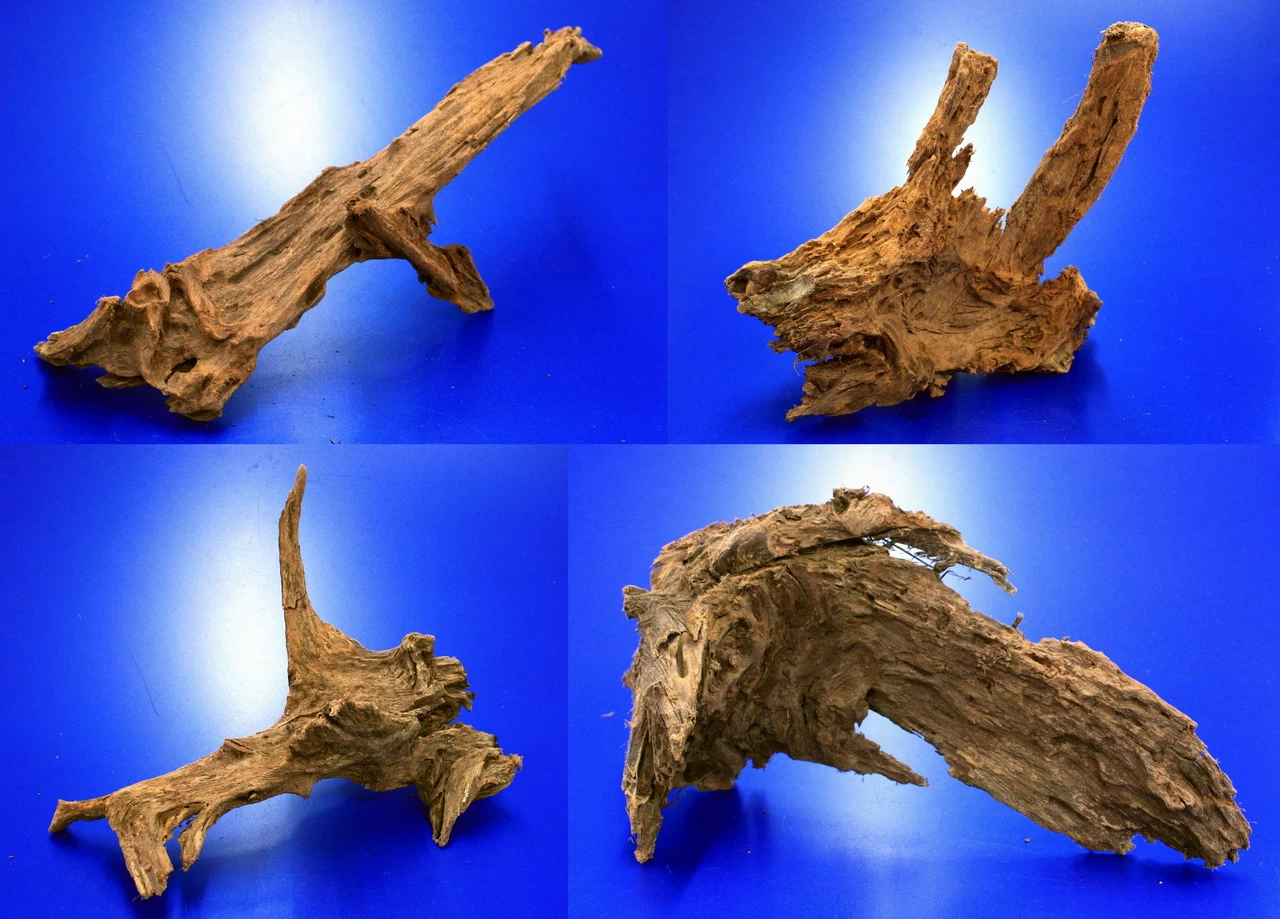 Mangroven-Wurzel Gr. XL / 40 - 50 Cm Mangrovenholz 1 Mangroven-Wurzel Gr. XL / 40 - 50 Cm Mangrovenholz