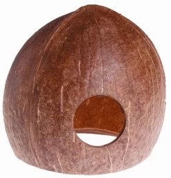 Hobby Aqua-Cave M / Cocos-Nuss Als Brut- Und Versteck-Höhle Ca. 11x10x10cm