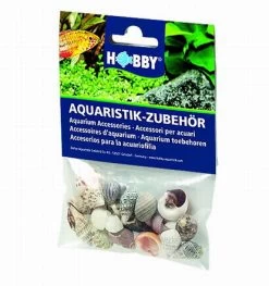 Hobby Sea Shell Set S - 20 Stk. - Natürliche Schneckenhäuser