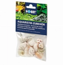Hobby Sea Shell Set M - 10 Stk. - Natürliche Schneckenhäuser