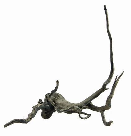 Hobby Dunkle Moorwurzel/Moorkienholz, Gr. S Traumwurzel 20-30cm 1 Hobby Dunkle Moorwurzel/Moorkienholz, Gr. S Traumwurzel 20-30cm