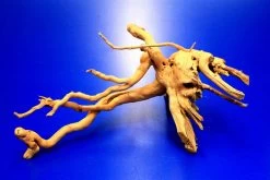 Moorwurzel/Moorkienholz, Gr. S Traumwurzel 20-30cm -Qualitätsgeschäft Für Garten Und Outdoor 4080070AD 1 10