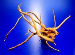 Moorwurzel/Moorkienholz, Gr. S Traumwurzel 20-30cm -Qualitätsgeschäft Für Garten Und Outdoor 4080070AD 1 8