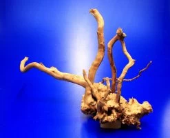 Moorwurzel/Moorkienholz, Gr. M Traumwurzel 30-40cm -Qualitätsgeschäft Für Garten Und Outdoor 4080075AD 1 6