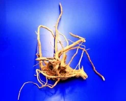 Moorwurzel/Moorkienholz, Gr. M Traumwurzel 30-40cm -Qualitätsgeschäft Für Garten Und Outdoor 4080075AD 1 8