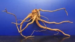 Moorwurzel/Moorkienholz, Gr. L Traumwurzel 40-50cm -Qualitätsgeschäft Für Garten Und Outdoor 4080080AD 1 4