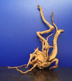 Moorwurzel/Moorkienholz, Gr. L Traumwurzel 40-50cm -Qualitätsgeschäft Für Garten Und Outdoor 4080080AD 1 6