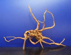 Moorwurzel/Moorkienholz, Gr. XL Traumwurzel 50-60cm -Qualitätsgeschäft Für Garten Und Outdoor 4080085AD 1 4