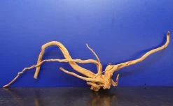 Moorwurzel/Moorkienholz, Gr. XL Traumwurzel 50-60cm -Qualitätsgeschäft Für Garten Und Outdoor 4080085AD 1 8