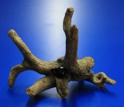 Hobby Urwaldbaum Mit Höhle / Regenwaldbaum Ca. 21x18x14cm, Mit Vielen Kleinen Details -Qualitätsgeschäft Für Garten Und Outdoor 41550HO 1 8