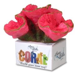 Hirnkoralle, Open Brain Coral M, Ca. 11 X 9 X 8 Cm