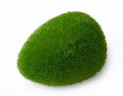 Moss Ball - L - Ca. 11,5x9x6 Cm