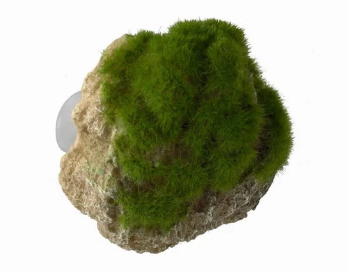 Moss Stone - S - Ca. 12 X 9,5 X 10,5 Cm - Mit Saugnapf 1 Moss Stone - S - Ca. 12 X 9,5 X 10,5 Cm - Mit Saugnapf
