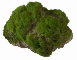 Moss Stone - L - Ca. 17 X 11 X 13,5 Cm - Mit Saugnapf