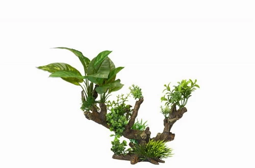 Flora Scape 5 - XL - Ca. 33,5x16x27,5 Cm 1 Flora Scape 5 - XL - Ca. 33,5x16x27,5 Cm