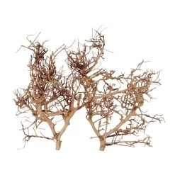 Thailand Zweig / Wurzel - M - 25-35cm