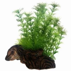 Hobby Flora Root 3 - S - Ca. 17cm