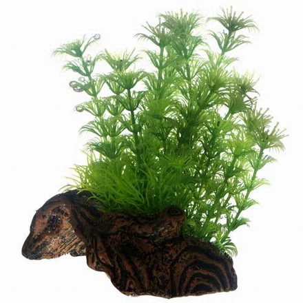 Hobby Flora Root 3 - S - Ca. 17cm 1 Hobby Flora Root 3 - S - Ca. 17cm