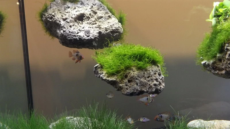 Schwebende Steine Größe: M / Floating Stone 18-24cm 1 Schwebende Steine Größe: M / Floating Stone 18-24cm