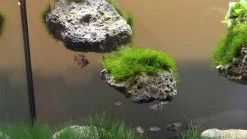 Schwebende Steine Größe: L / Floating Stone 25-30cm