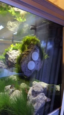 Rückwand Stein Größe: L / Wall Stone 25-30cm