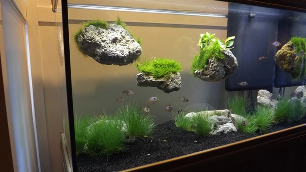 Rückwand Stein Größe: L / Wall Stone 25-30cm 2 Rückwand Stein Größe: L / Wall Stone 25-30cm – Bild 2