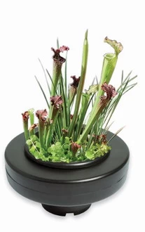 Schwimmende Pflanzschale - Pflanzkorb Ca. ø 30 Cm, Schwarz