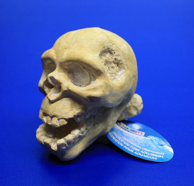 ARCADIA Totenkopf Weiß Mit Einsatz Für LED-Aquarienstrahler 2 ARCADIA Totenkopf Weiß Mit Einsatz Für LED-Aquarienstrahler – Bild 2