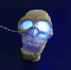 ARCADIA Totenkopf Weiß Mit Einsatz Für LED-Aquarienstrahler 6 ARCADIA Totenkopf Weiß Mit Einsatz Für LED-Aquarienstrahler -Qualitätsgeschäft Für Garten Und Outdoor CAD25WAF 1 3