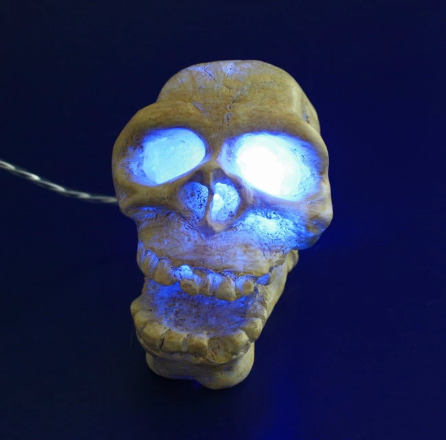 ARCADIA Totenkopf Weiß Mit Einsatz Für LED-Aquarienstrahler 3 ARCADIA Totenkopf Weiß Mit Einsatz Für LED-Aquarienstrahler – Bild 3