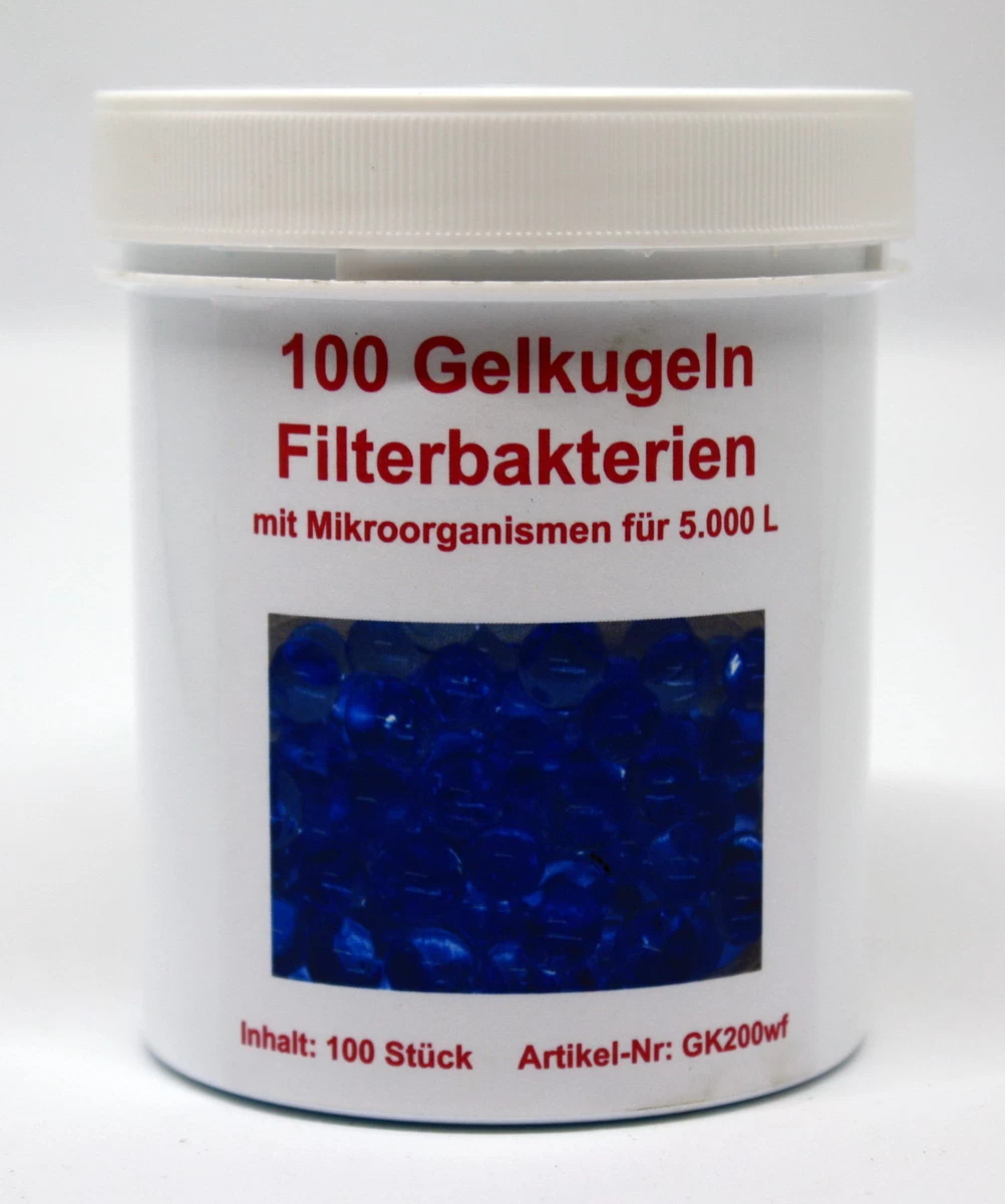 100 Filterbakterien Gelkugeln Mit Mikroorganismen Für 5.000 Liter Aquarium-Wasser 2 100 Filterbakterien Gelkugeln Mit Mikroorganismen Für 5.000 Liter Aquarium-Wasser – Bild 2