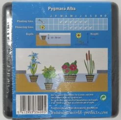 Anzucht-Set Weiße Zwerg-Seerose / Nymphaea Pygmaea Alba (tetragona) Miniseerose -Qualitätsgeschäft Für Garten Und Outdoor GT2010wf 1 3