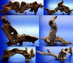 Mopani-Wurzel Micro 10-15 Cm / Eisenholz Zwei-farbig Gr.XS