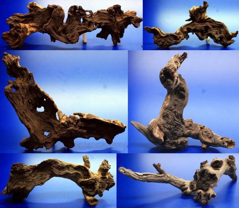 Mopani-Wurzel Nano 15-20 Cm / Eisenholz Zwei-farbig Gr.S 1 Mopani-Wurzel Nano 15-20 Cm / Eisenholz Zwei-farbig Gr.S