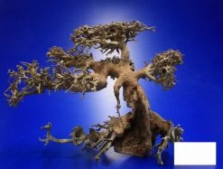 Aqua-Bonsai Wurzel Small - Aquascaping Drachenbaum Traumwurzel Klein -Qualitätsgeschäft Für Garten Und Outdoor PH065 AO 1 6 2