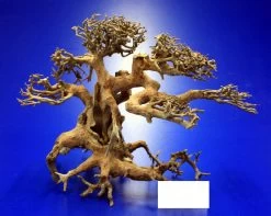 Aqua-Bonsai Wurzel Large - Aquascaping Drachenbaum Traumwurzel Groß -Qualitätsgeschäft Für Garten Und Outdoor PH065 AO 1 9