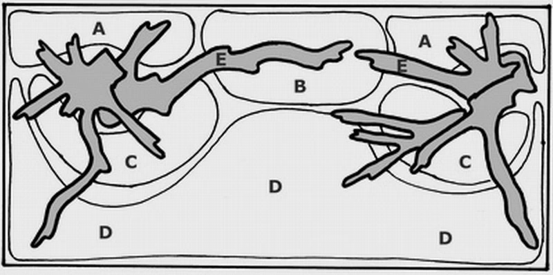 Unterwasser-Landschaft Moosbrücke Für 300 Liter Aquarium 2 Unterwasser-Landschaft Moosbrücke Für 300 Liter Aquarium – Bild 2