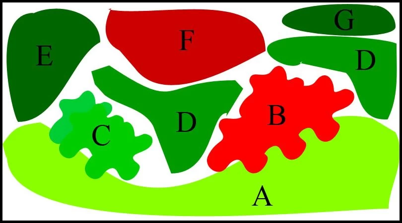 Unterwasser-Landschaft Lotuswelt Für Ein 60 Liter Aquarium 2 Unterwasser-Landschaft Lotuswelt Für Ein 60 Liter Aquarium – Bild 2