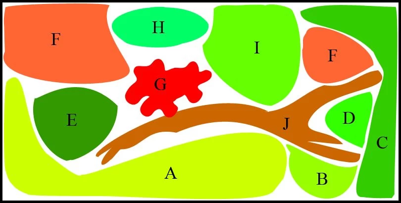 Unterwasser-Landschaft Diskus-Traum Für Ein 500 Liter Aquarium 1 Unterwasser-Landschaft Diskus-Traum Für Ein 500 Liter Aquarium
