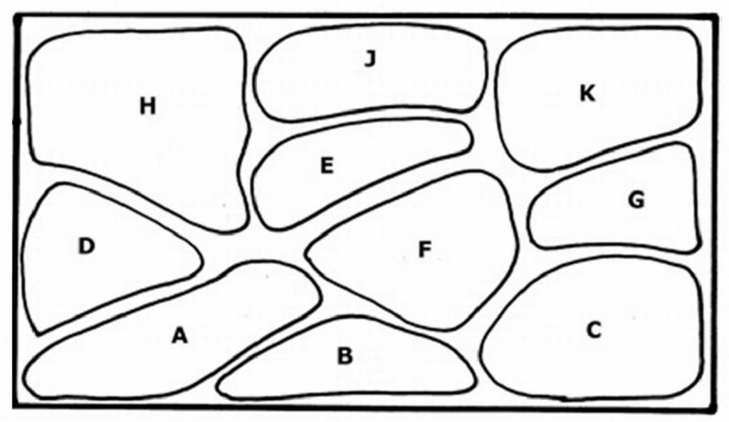 Unterwasser-Landschaft Holland-Aquarium Für Ein 160 Liter Aquarium 2 Unterwasser-Landschaft Holland-Aquarium Für Ein 160 Liter Aquarium – Bild 2