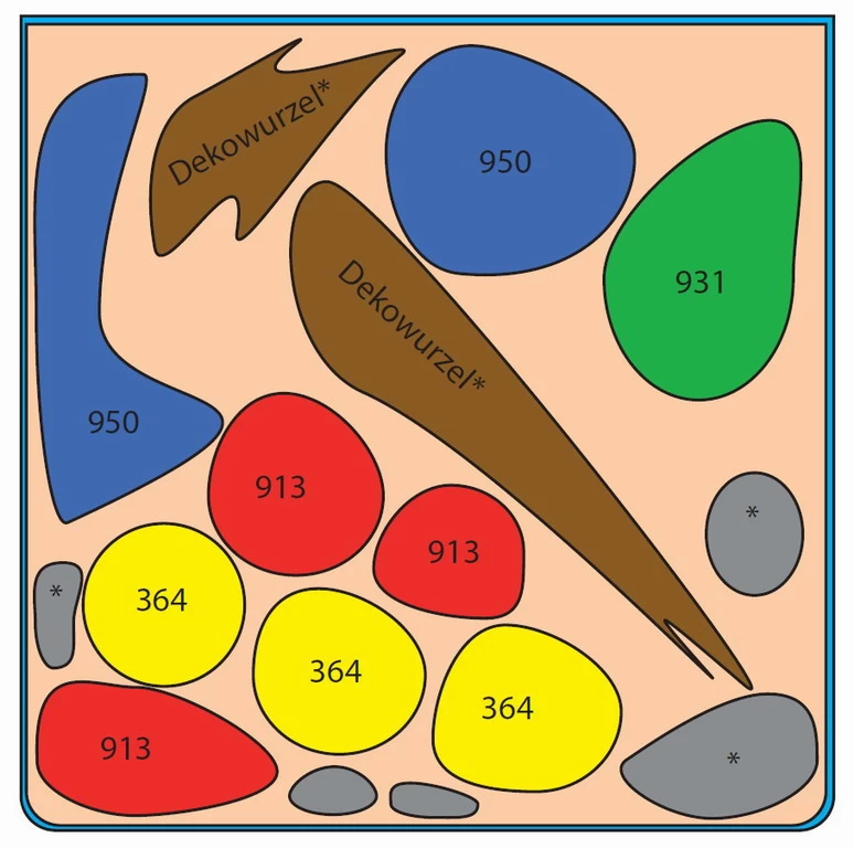 Ludwigia Cube 30 Liter - Pflanzenlandschaft Für Einen 30 Liter Nano Cube 2 Ludwigia Cube 30 Liter - Pflanzenlandschaft Für Einen 30 Liter Nano Cube – Bild 2