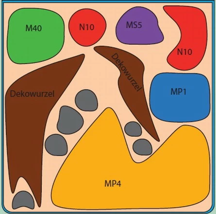 In-Vitro Riccardia Cube 30 Liter - Pflanzenlandschaft Für Einen 30 Liter Nano Cube 2 In-Vitro Riccardia Cube 30 Liter - Pflanzenlandschaft Für Einen 30 Liter Nano Cube – Bild 2