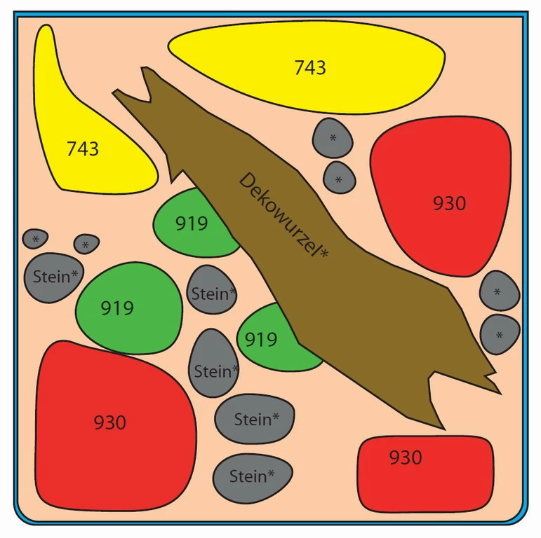 Biosphere Cube 30 Liter - Pflanzenlandschaft Für Einen 30 Liter Nano Cube 3 Biosphere Cube 30 Liter - Pflanzenlandschaft Für Einen 30 Liter Nano Cube – Bild 3