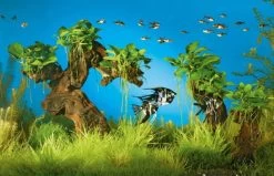 Mbuna-Wäldchen - Pflanzenlandschaft Für Ein 160-200 Liter Aquarium