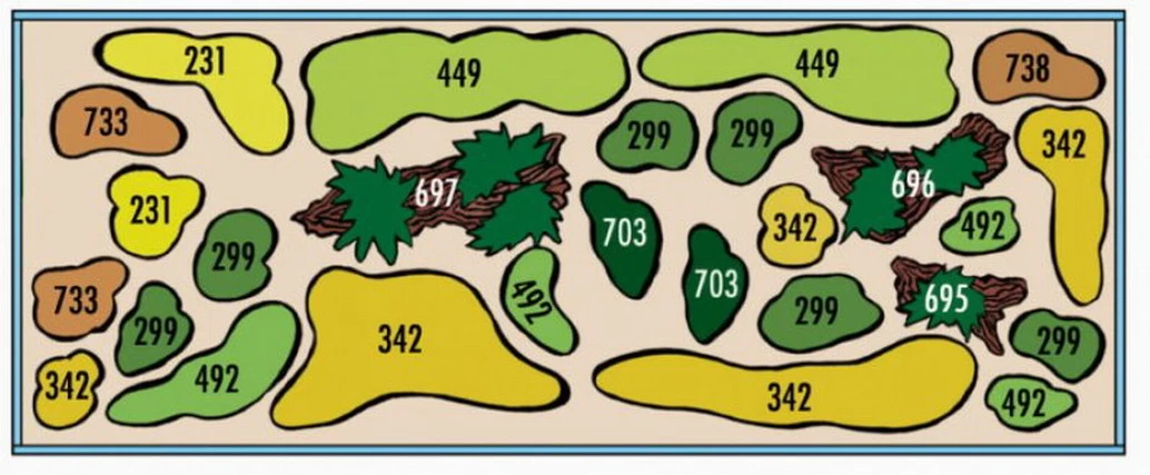 Mbuna-Wäldchen - Pflanzenlandschaft Für Ein 160-200 Liter Aquarium 2 Mbuna-Wäldchen - Pflanzenlandschaft Für Ein 160-200 Liter Aquarium – Bild 2